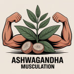 illustration ashwagandha musculation moderne énergique