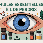 Illustration apaisante oeil de perdrix huiles essentielles