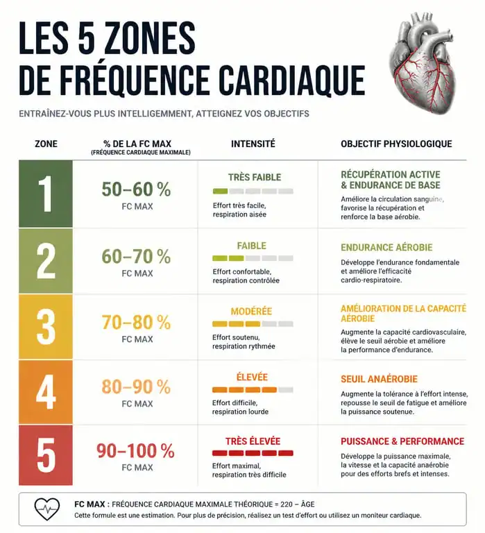 Infographie des 5 zones de fréquence cardiaque pour l'entraînement sportif